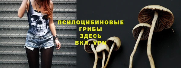 прущие грибы Краснотурьинск