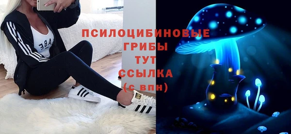 прущие грибы Краснотурьинск