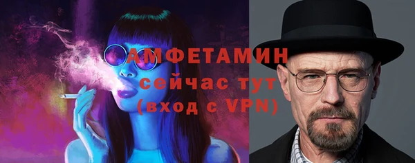 прущие грибы Краснотурьинск