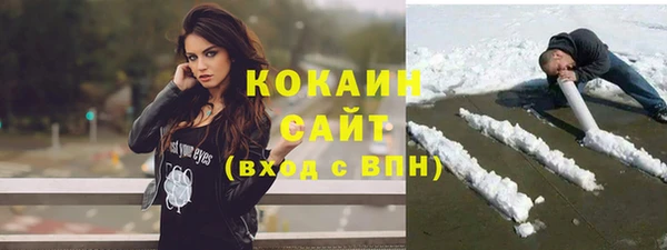 прущие грибы Краснотурьинск