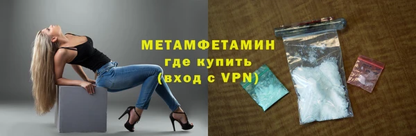 прущие грибы Краснотурьинск