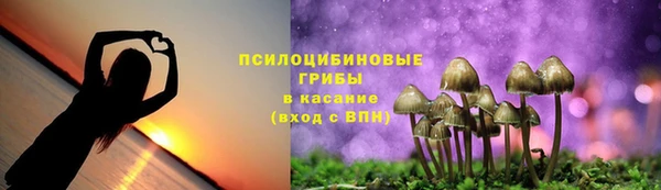 амф Краснослободск