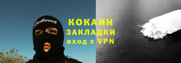 амф Краснослободск