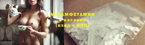 прущие грибы Краснотурьинск