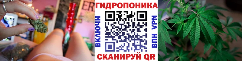Купить  Дудинка  МАРИХУАНА сатива 